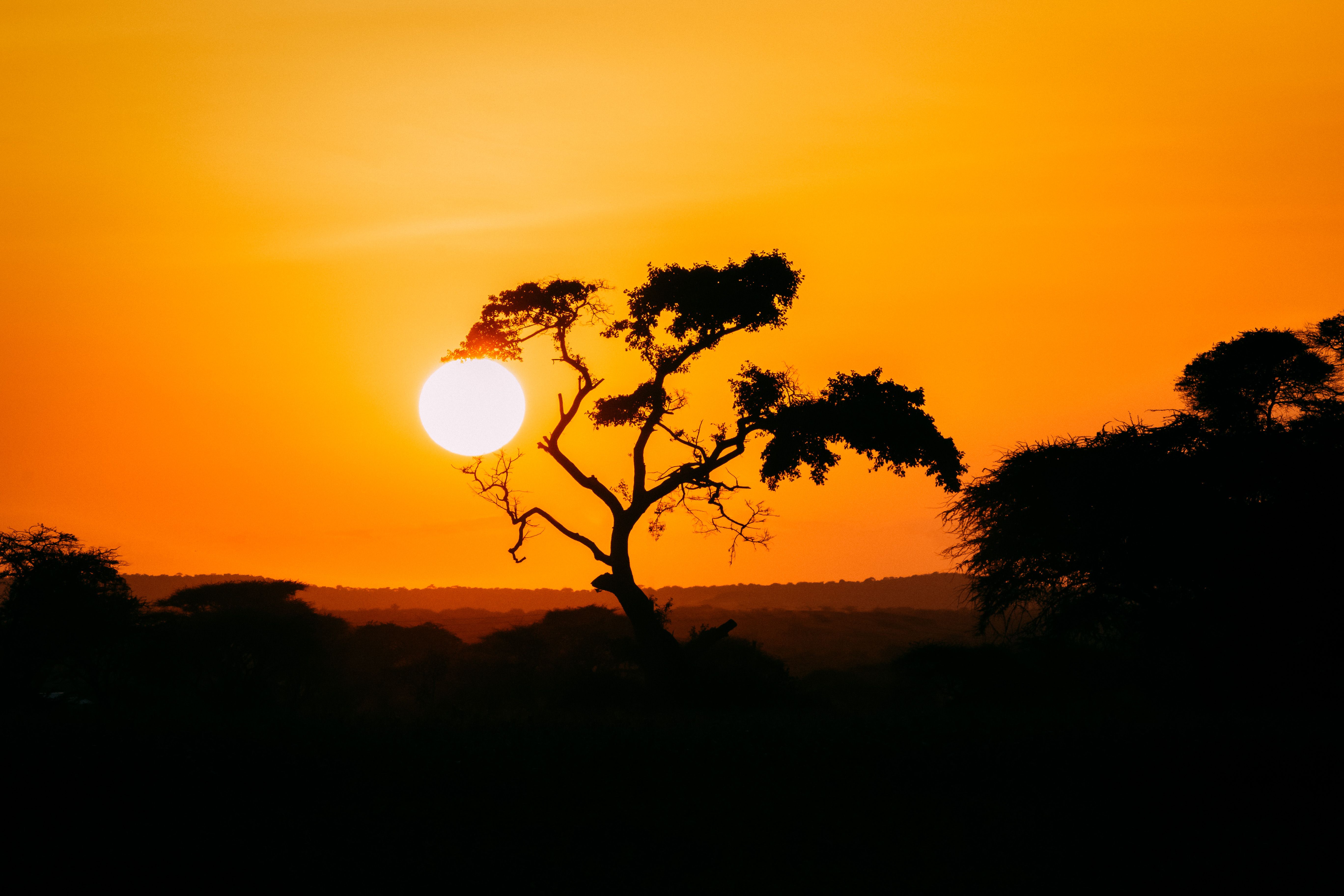 The problem with "building for Africa"